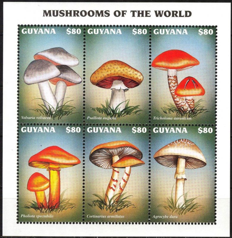 Guyana 1997 Mushrooms Sheet MNH