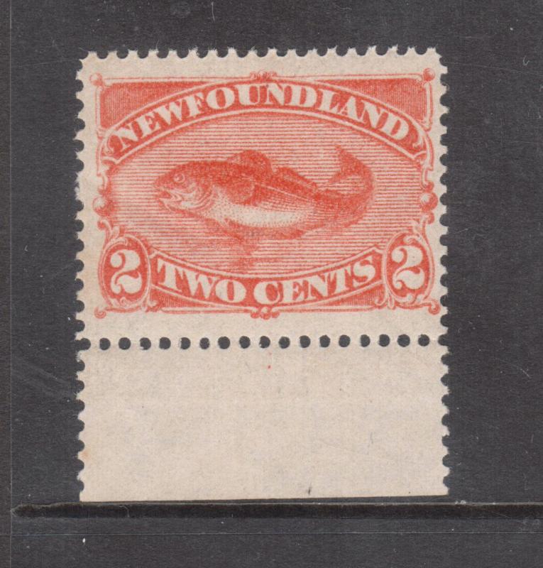 Newfoundland #48 Mint Never Hinged Margin Copy With Natural Gum Bends