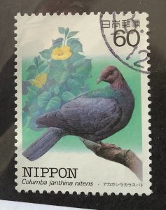 Japan 1984 Scott 1540 used - 60y, Bird, Pigeon, Columba janthina nitens