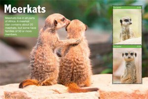 Gambia 2017 - Meerkats - Souvenir Stamp Sheet - MNH