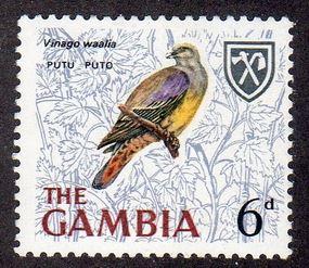 Gambia 221 - Mint-H - Bruce's Green Pigeon (cv $0.30)