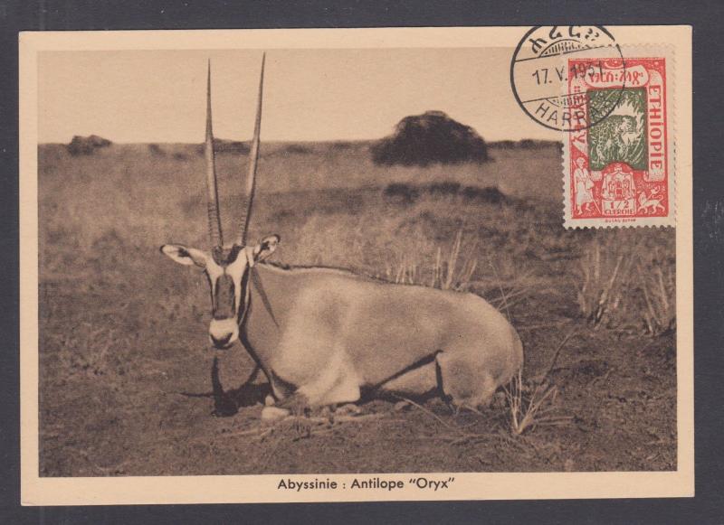 Ethiopia Sc 122 on 1931 post card with HARRA favor cancel, depicts an Oryx, VF