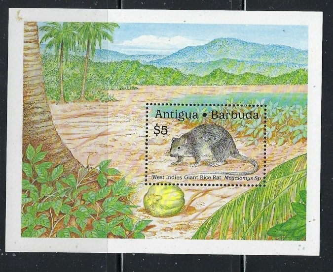 Antigua 1237 MNH 1989 Widlife (fe7400)