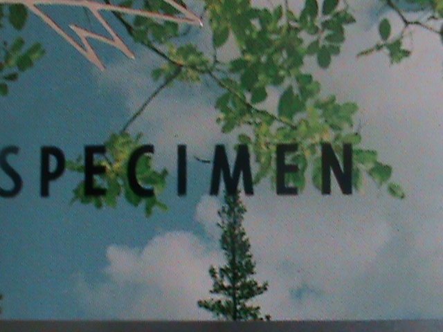 ​MONGOLIA-1993-SPECIMEN-SILVER REPLICA-THE LOVELY TURTLE IMPERF MNH S/S- SHEET