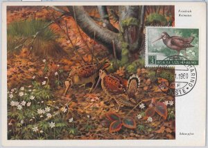 52657 - SAN MARINO - MAXIMUM CARD - ANIMALS BIRDS 1960-