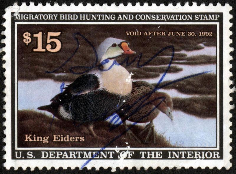 SC#RW58 $15.00 WKing Eiders Signed N.G. SCV $11.00