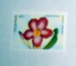 Uganda - 617, MNH. Flower. SCV - $0.80