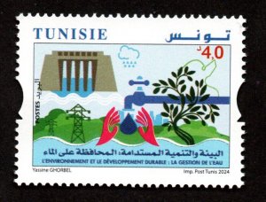 2024- Tunisia - Environment and Sustainable Development: Water management- Hands