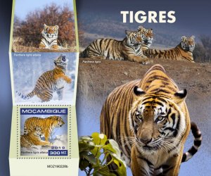Mozambique 2019 MNH Wild Animals Stamps Tigers Siberian Tiger Fauna 1v S/S