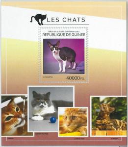 GUINEA - ERROR, 2014 MISSPERF SHEET: CATS, PETS, ANIMALS