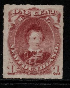 NEWFOUNDLAND SG40 1877 1c LAKE-PURPLE TYPE II UNUSED