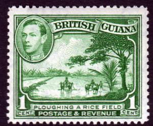 British Guiana KGVI 1938 1c Green SG308a Mint Hinged