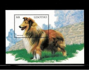 Lesotho 1999 - Dogs - Souvenir Sheet Stamp - Scott #1175 - MNH