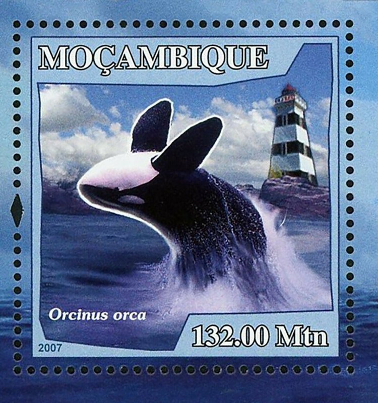 Whales Stamp Orcinus Orca Marine Fauna Souvenir Sheet MNH #3065 / Bl.230