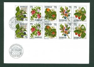 Sweden. 1977  FDC . 10-Block  Swedish Wild Berries