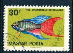 Hungary; 1962: Sc. # 1438: O/Used CTO Single Stamp