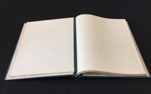 SPRINGBACK Binders x 13 Senator Gibbons Tower .8kg(K706)