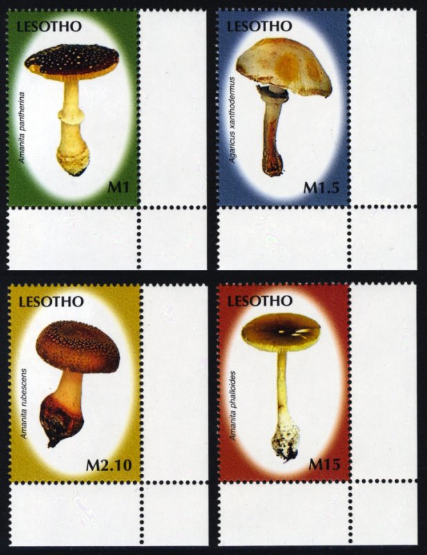 Lesotho 2007 Mushrooms Scott #1421-1424 Mint Never Hinged