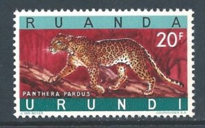 Ruanda-Urundi #149 NH 20fr Leopard