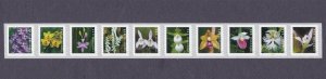 PNC10 55c Forever Wild Orchids B1111 US 5444a MNH F-VF Scot Order Mailed Flat