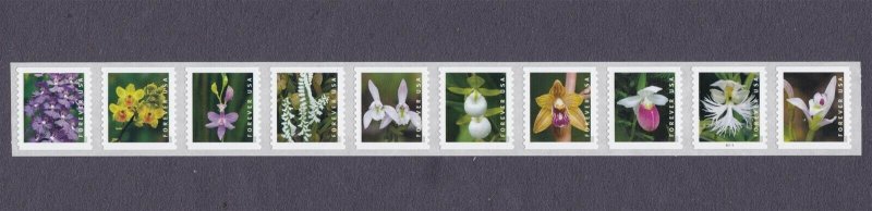 PNC10 55c Forever Wild Orchids B1111 US 5444a MNH F-VF Scot Order Mailed Flat