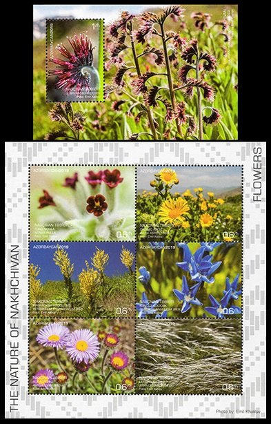 2019 Azerbaijan 1526-1531KL,1532/B244 Nakhchivan. Flowers