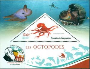 OCTOPUS MARINE FAUNA CHARLES DARWIN MADAGASCAR 2019 MNH STAMP SET 4 SHEETS