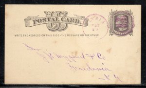 US UX5 Elyria OH Lorain County Purple Fancy Cancel b581