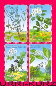 MOLDOVA 2004 Nature Flora Plants Flowers & Berries Fruits 4v Sc480-483 Mi501-504