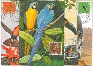 17352 - EQUADOR - POSTAL HISTORY - 4 MAXIMUM CARDS 1958 BIRDS PARROTS-