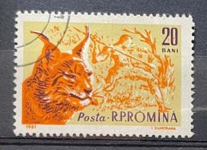 (3568) ROMANIA 1961 : Sc# 1426 LYNX AND PREHISTORIC HUNTER - VFU