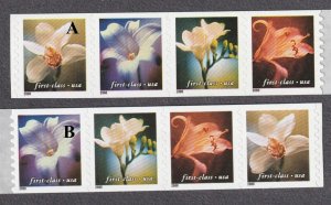 Coil Strip (4) 34c Flower ND Tabs US 3465a NOT SCOTT ORDER One Strip Note MNH