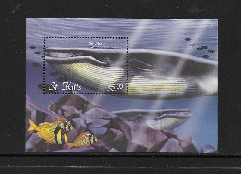 WHALES - ST KITTS #524  MNH