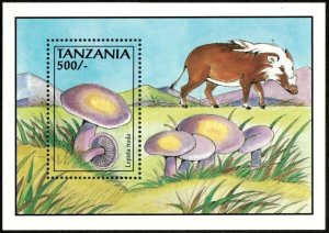 Tanzania 1993 - Wood Blewit Mushroom, Boar - Souvenir Sheet - Scott 1017 - MNH