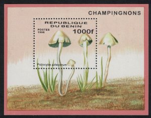 Benin Fungi MS 1996 MNH SG#MS1438