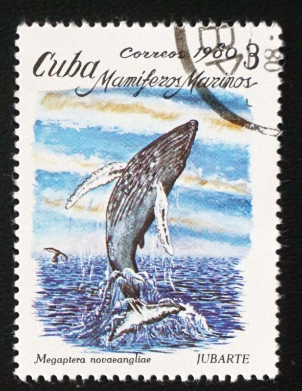 CUBA Sc# 2335 MARINE MAMMALS sea life ocean 3c 1980  used cto