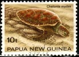 Turtle, Chelonia Mydas, Papua New Guinea SC#593 used