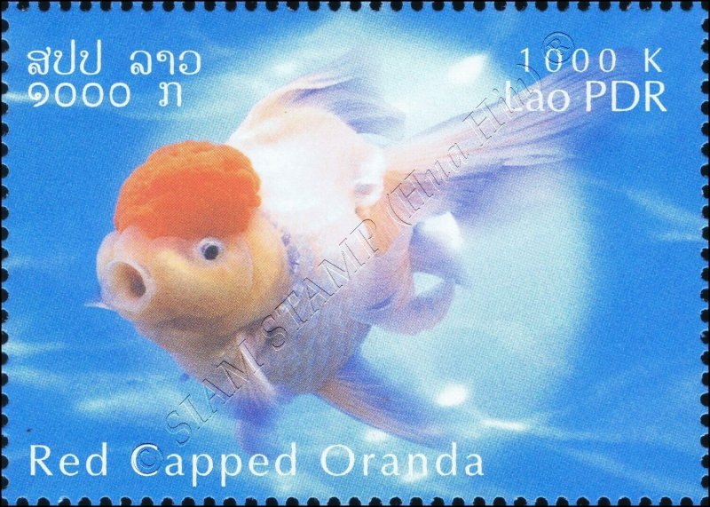 Goldfish Breeds -PERFORATE- (MNH)