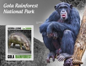 Sierra Leone - 2020 Gola Rainforest National Park - Souvenir Sheet - SRL200437b