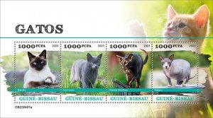 GUINEA BISSAU - 2023 - Cats - Perf 4v Sheet - Mint Never Hinged