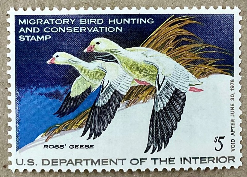 RW44 Ross Geese $5.00 Duck Stamp 1977 With PSE certificate XF-Sup 95
