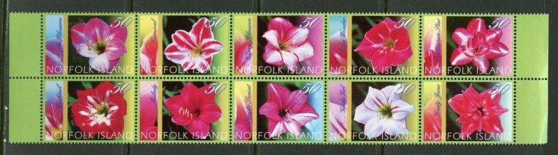 NORFOLK ISLAND ORCHIDS SET OF TEN   MINT NH 