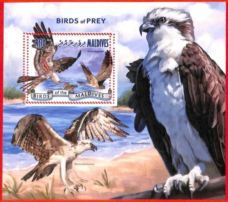 A4133 - MALDIVES - ERROR MISPERF. Souvenir sheet: 2014, Birds of Prey, Eagles 