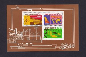 Surinam  #509 MNH 1978   sheet river development