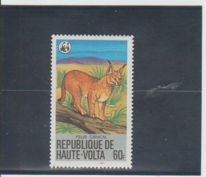 Burkina Faso  Scott#  508  MNH  (1979 Caracal)