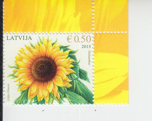 2015 Latvia Helianthus  (Scott 906) MNH