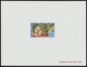 Congo 198-9 Deluxe Sheets MNH ILO, Pineapple