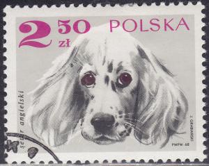 Poland 1640 English Setter 2.50zł 1969