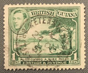 British Guiana # 230 Used