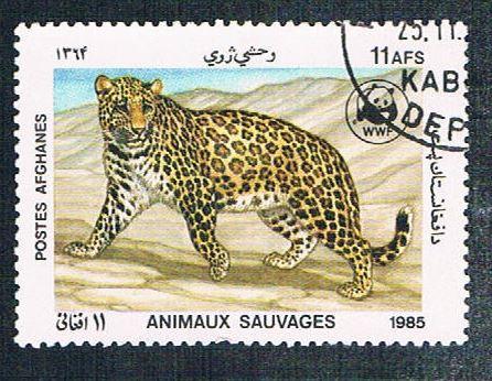 Afghanistan 1174 Used WWF Leopard  (BP346)